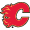 Calgary Flames Apparel