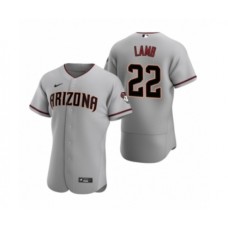 Men's Arizona Diamondbacks #22 Jake Lamb Nike Gray Authentic 2020 Road Stitched Jersey