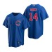 Men's Nike Chicago Cubs #14 Ernie Banks Royal Alternate Stitched Baseball Jersey