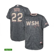 Men's Washington Nationals #22 Juan Soto Nike Gray 2022 City Connect Replica Player Stitched Jersey